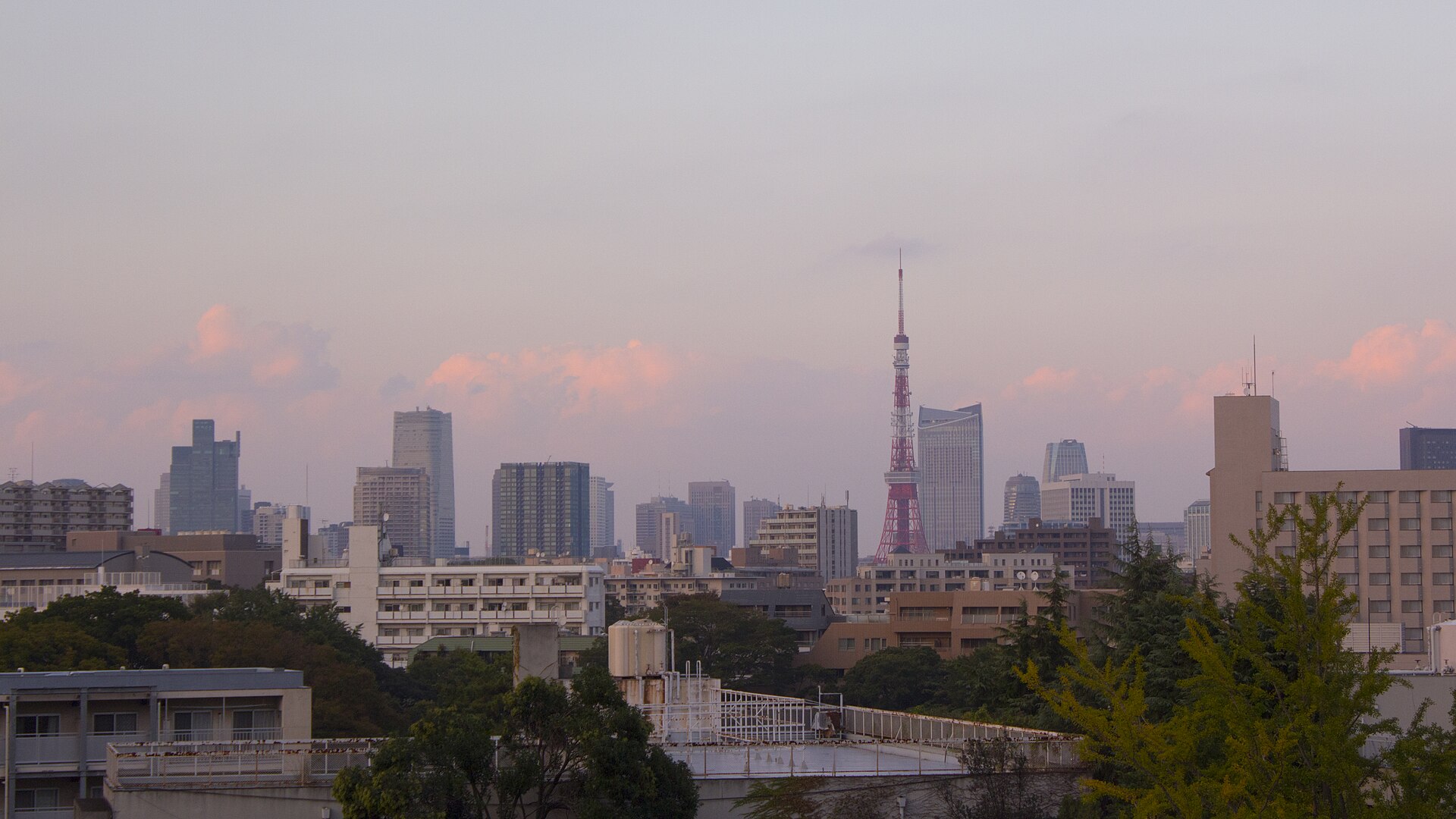 Tokyo Tower rising above the city skyline in soft afternoon light